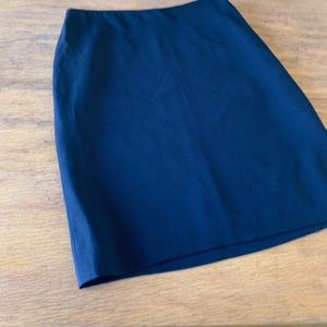 Navy lined skirt